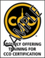 CCO Training Provider logo-Black+PMS124 vertical-R SAMPLE_150x_blur